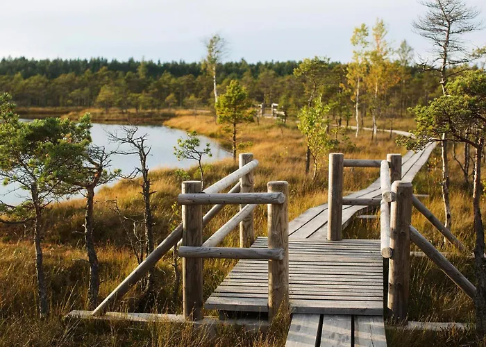 Apartment Near Baltic Sea