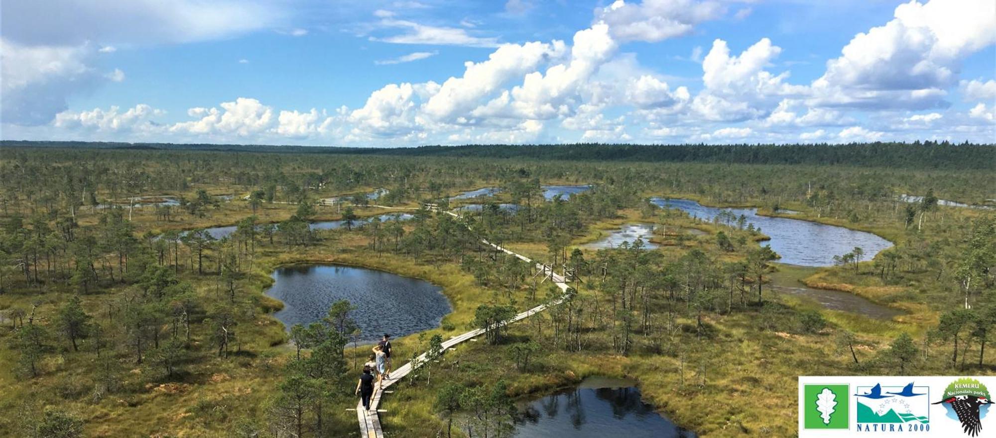Near Baltic Sea * Юрмала