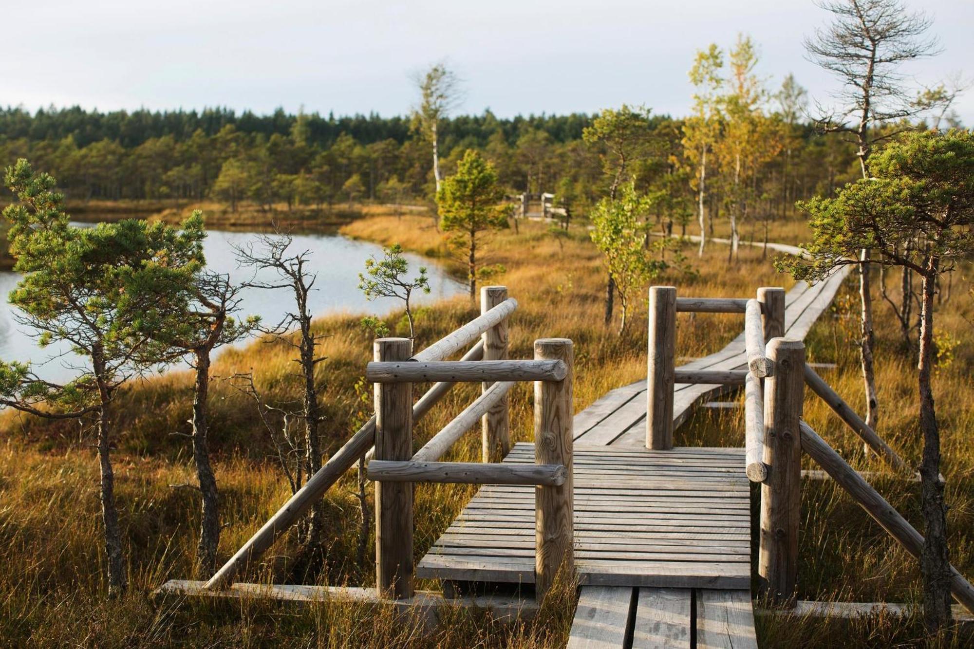 Near Baltic Sea *